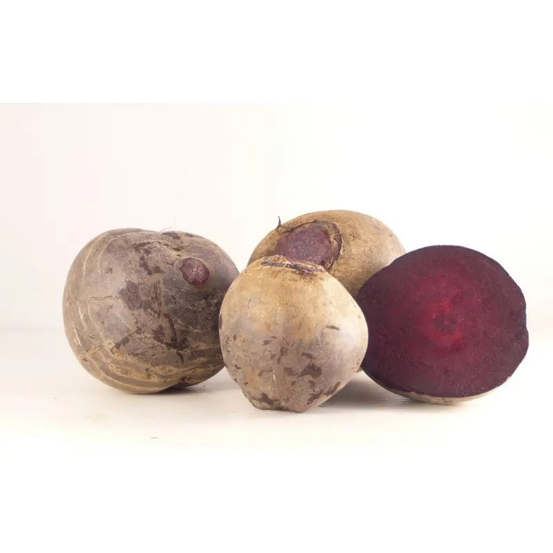 Betteraves rouges bio