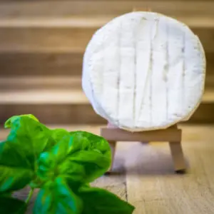 Camembert - Esprit des Eleveurs bio Env 300g